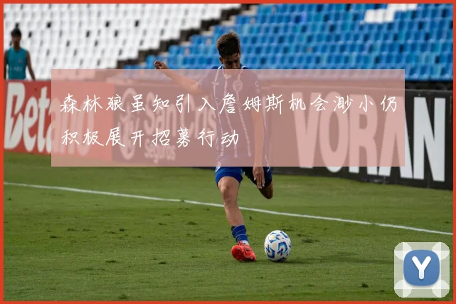 森林狼虽知引入詹姆斯机会渺小仍积极展开招募行动