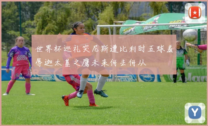 世界杯巡礼突尼斯遭比利时五球羞辱迦太基之鹰未来何去何从
