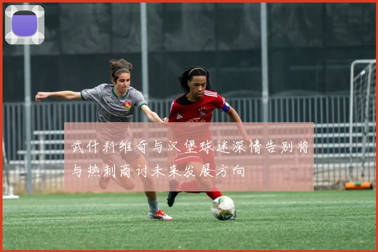 武什科维奇与汉堡球迷深情告别将与热刺商讨未来发展方向